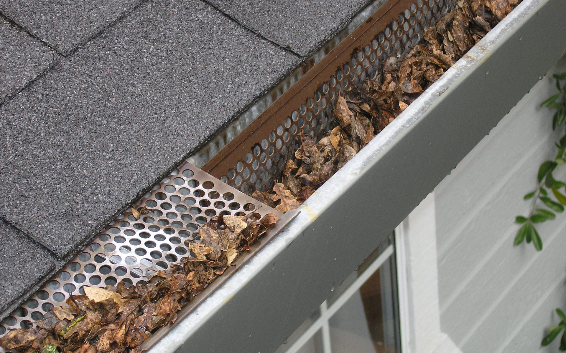 gutter-guard-ipswich-2434467_1920